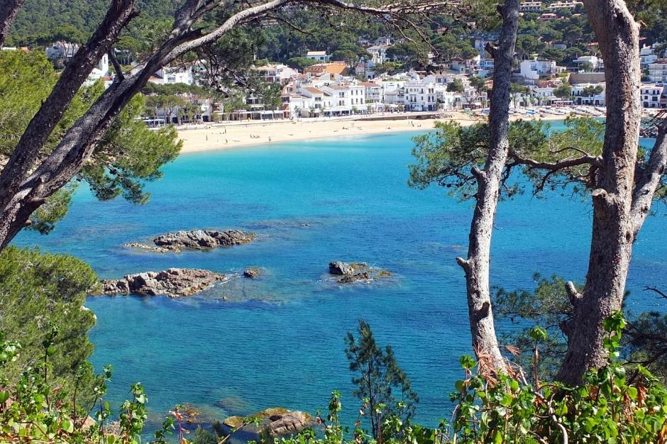 Dive into the dazzling reefs of Llafranc, to discover a stunning spot, ideal for snorkelling